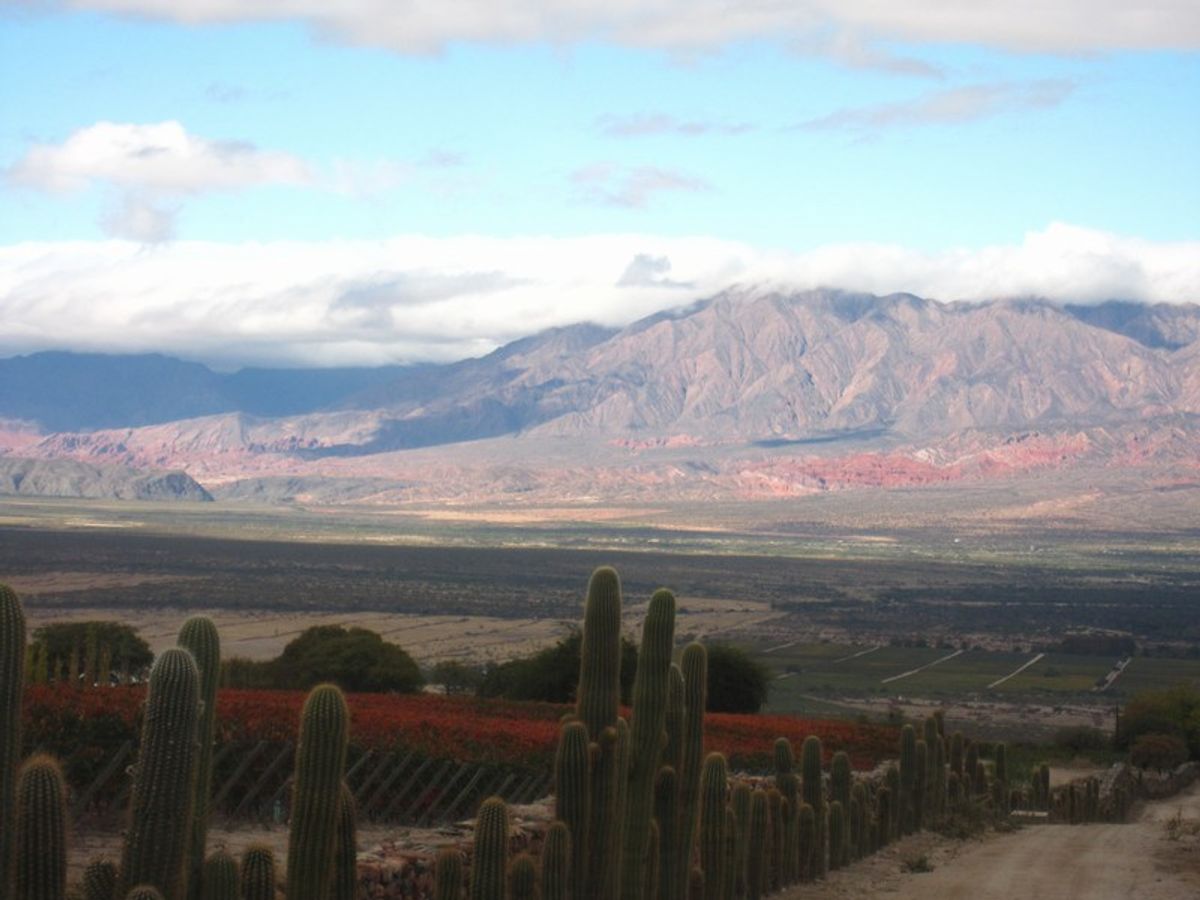 Cafayate