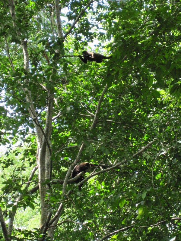 Finca Magdelena