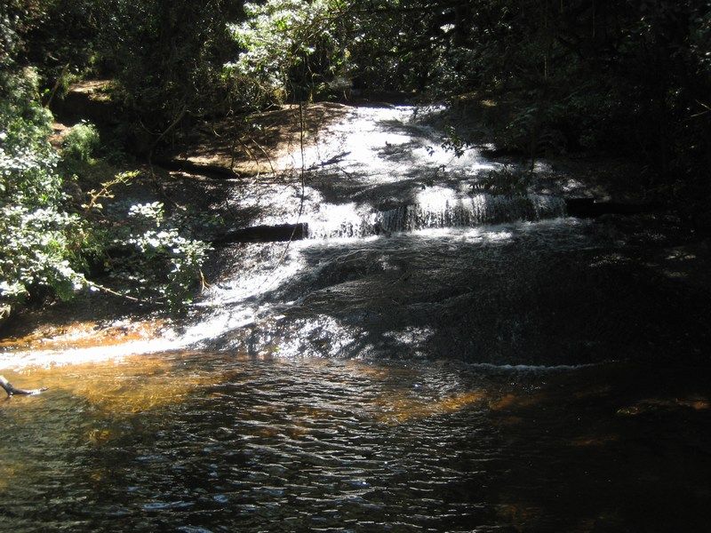 Zomba V