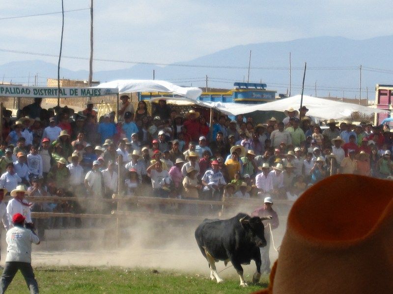 Toro Fight