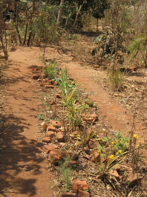 Permaculture II