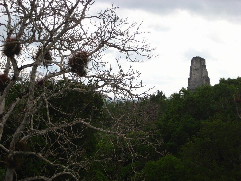 Tikal