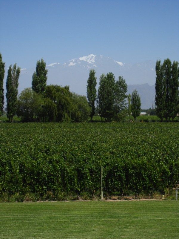 Lujan de Cuyo, Wine Tours
