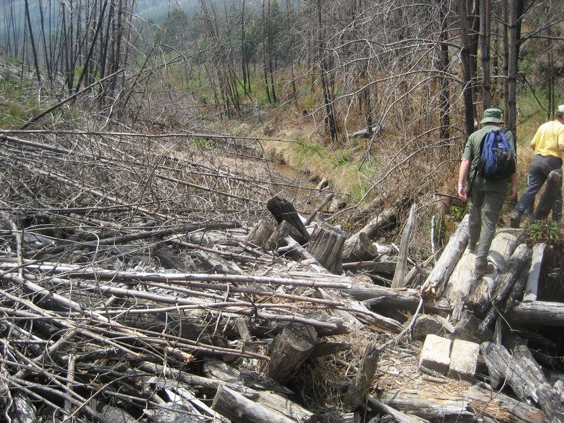Mulanje VI