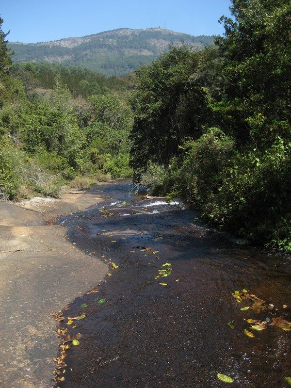 Zomba III