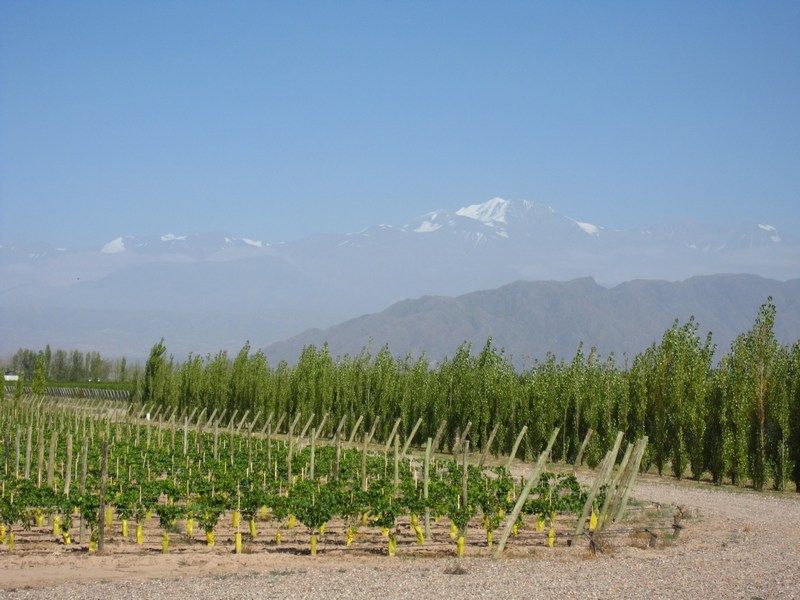 Lujan de Cuyo, Wine Tours