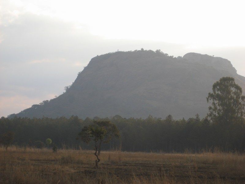 Dedza VII