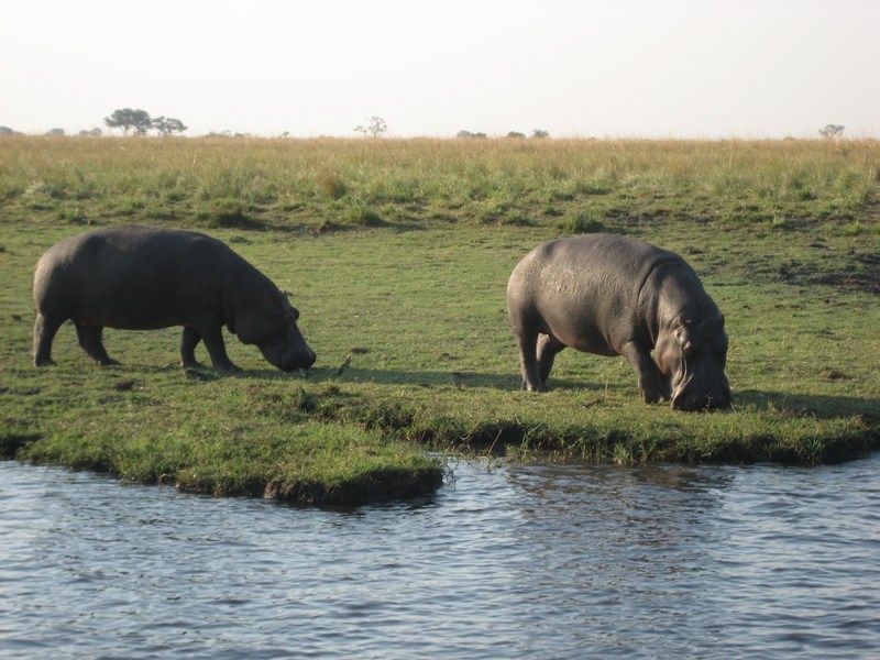 Vic Falls