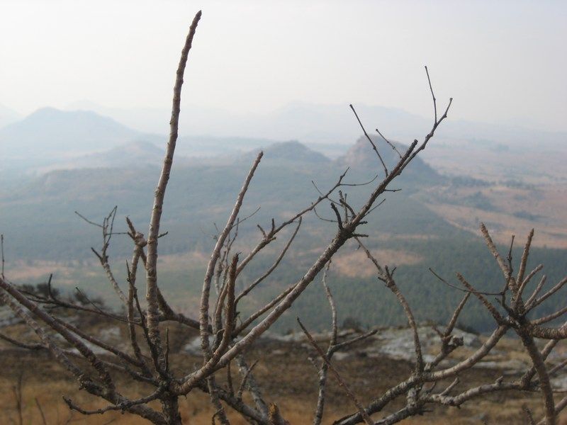 Dedza I