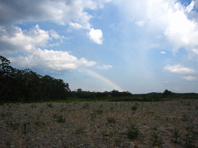 Madidi