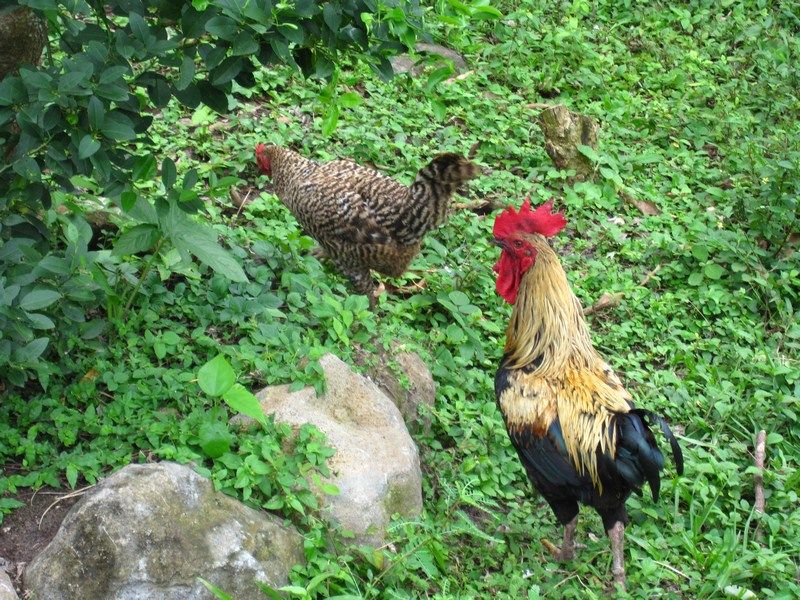 Finca Magdelena