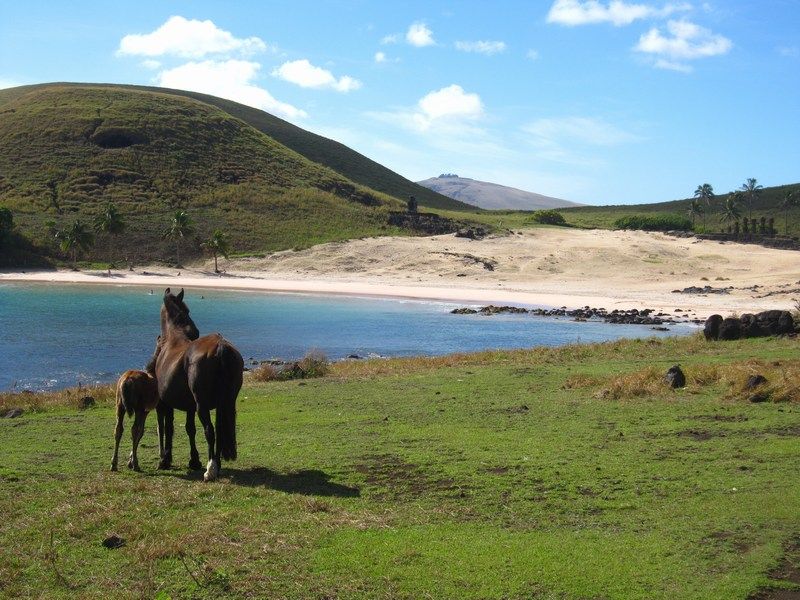 Anakena