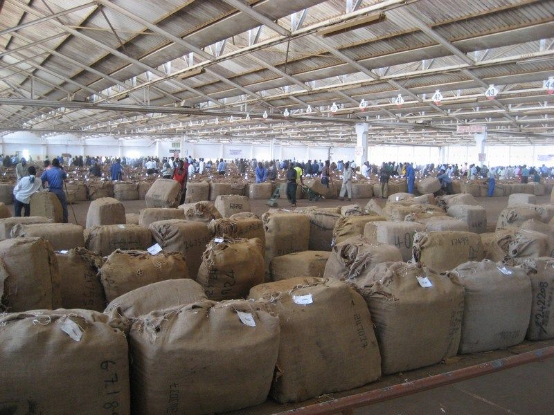 Tobacco I