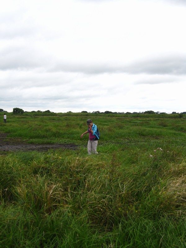Bolivian Pampas