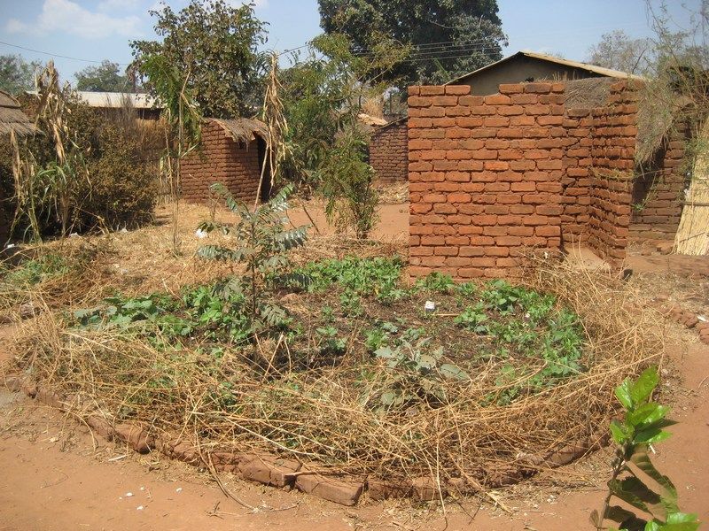 Permaculture III