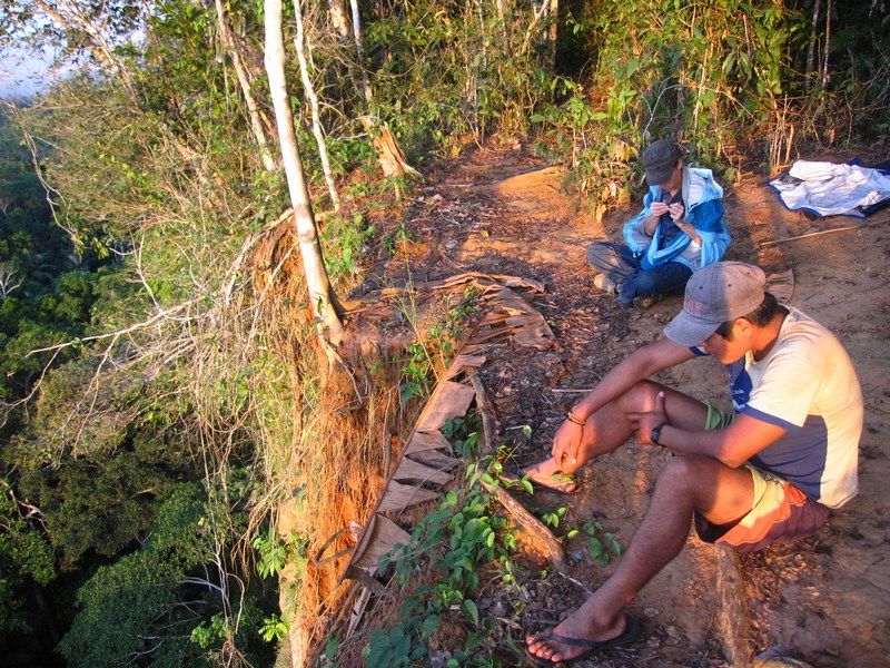 Madidi
