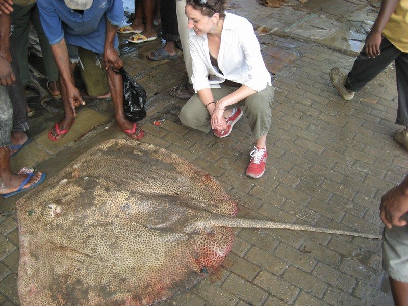 The biggest stingray.  Ever.