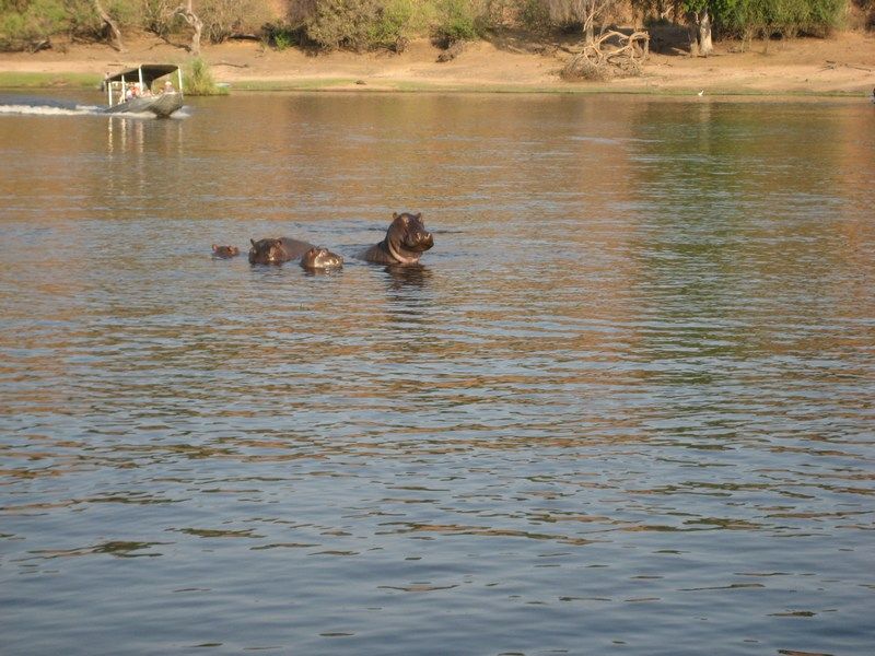 Vic Falls