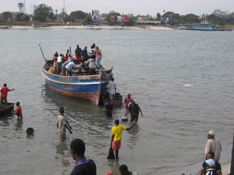 Dar Es Salaam fish market