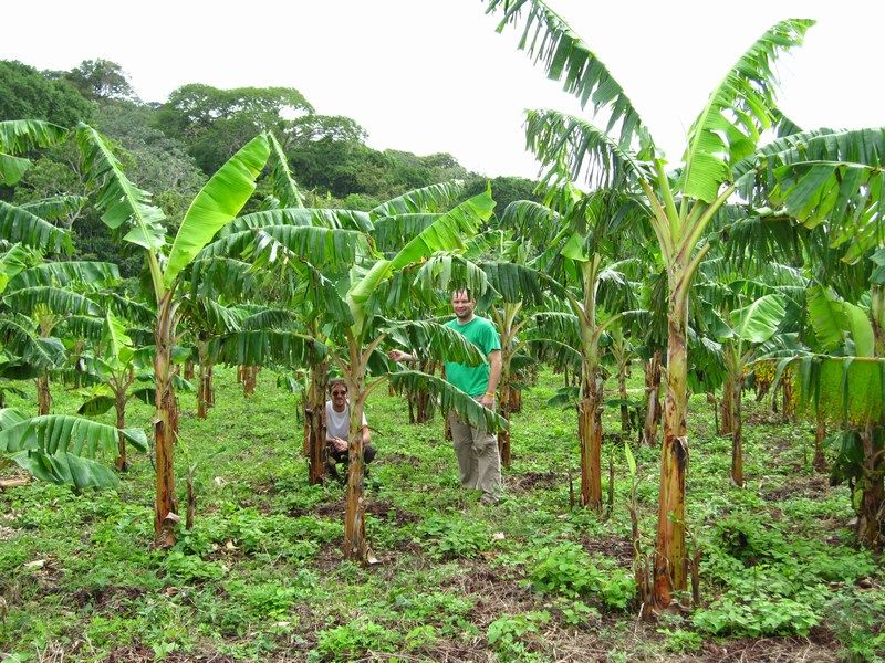 Finca Magdelena