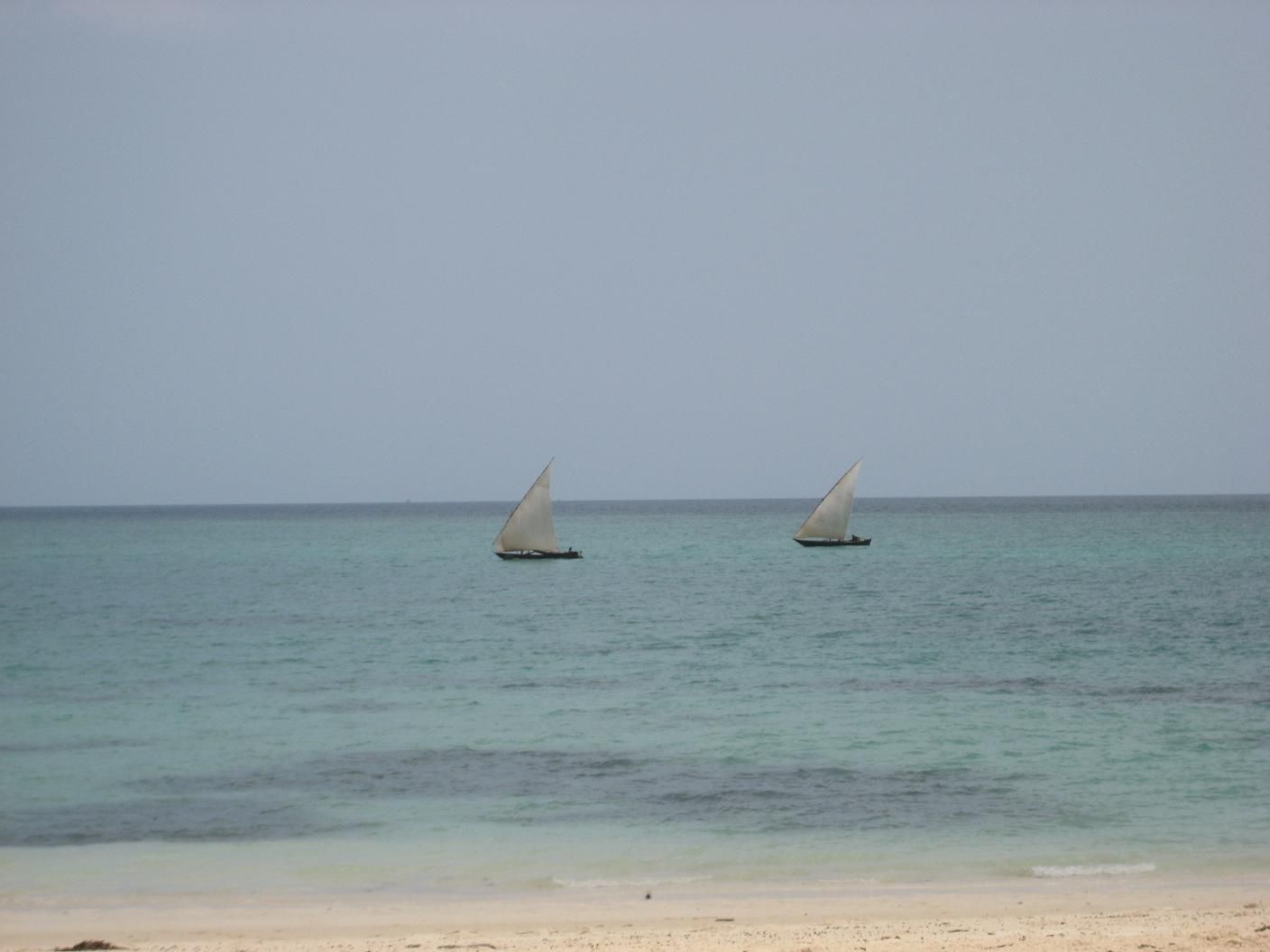 Beautiful Zanzibar