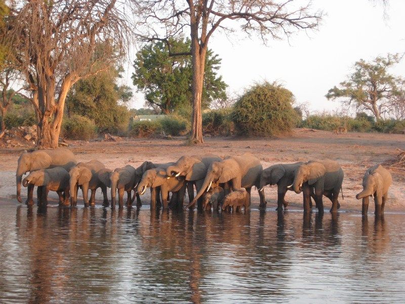Vic Falls