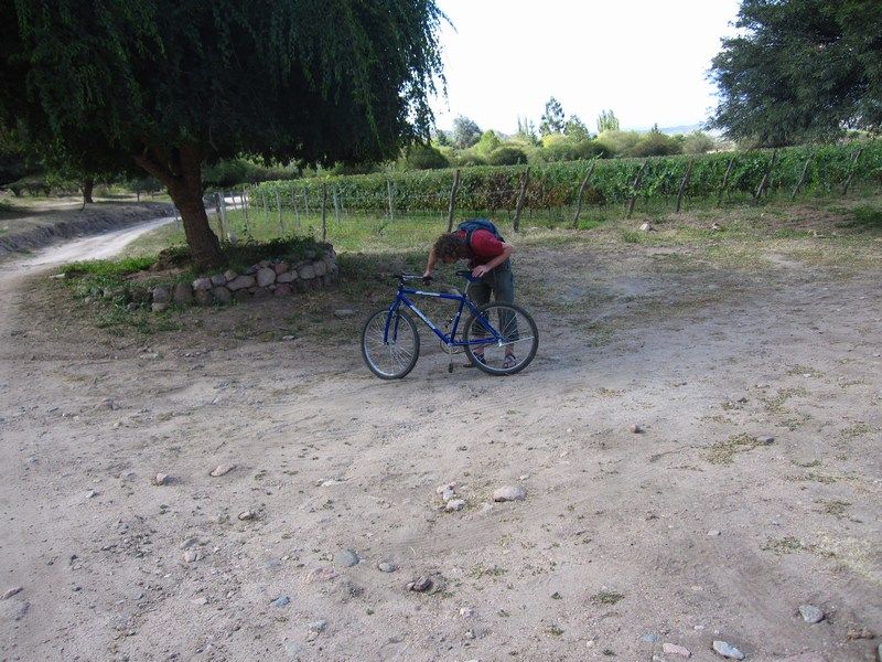 Cafayate