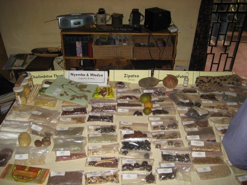 Permaculture I