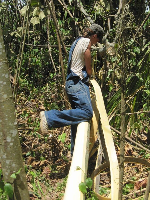 Madidi