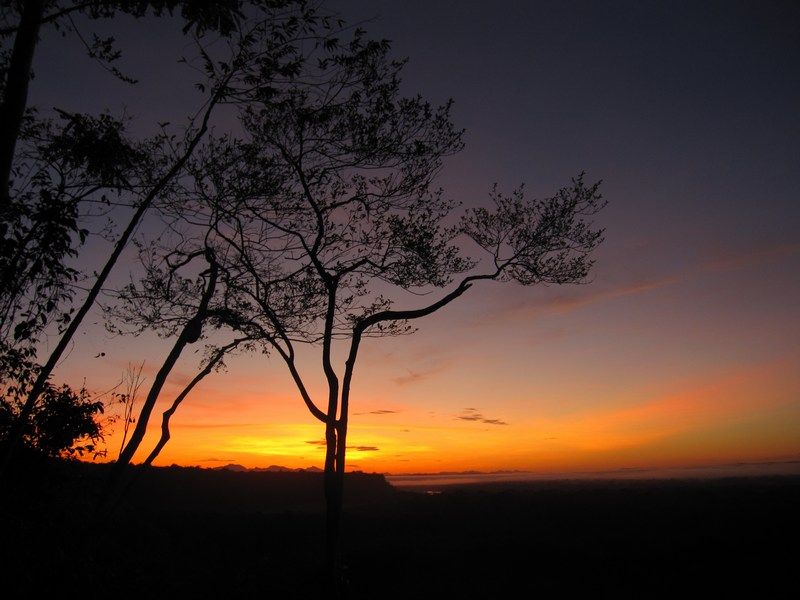 Madidi