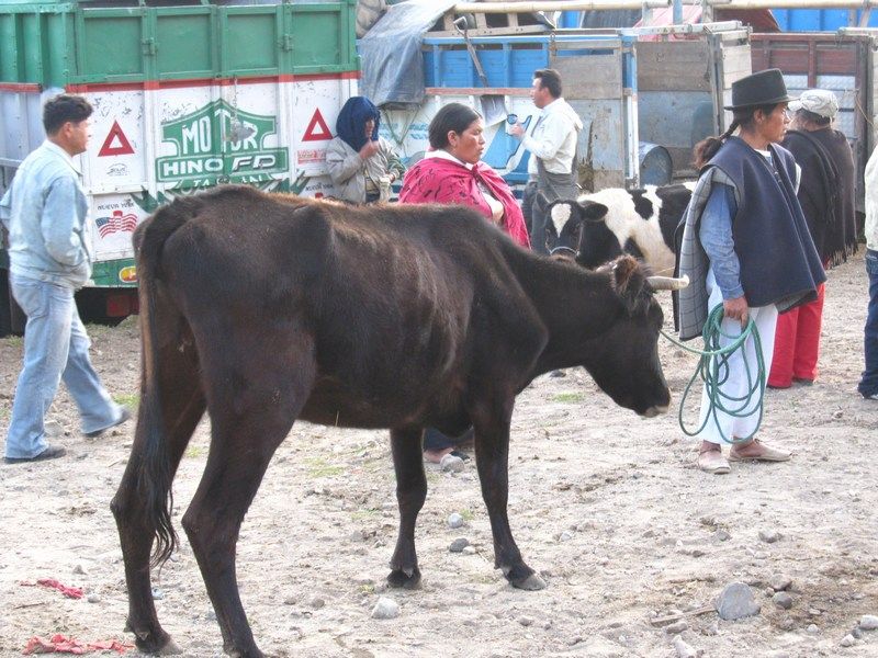 Otavalo