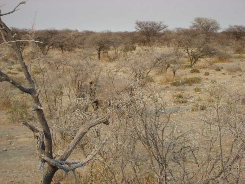 Etosha