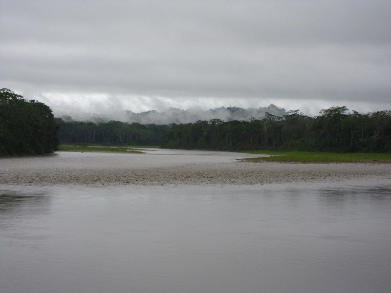 Madidi
