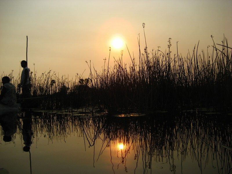 Okavango Delta