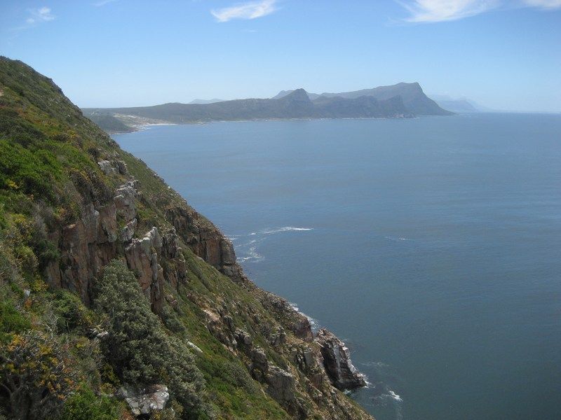 Cape Point Trip