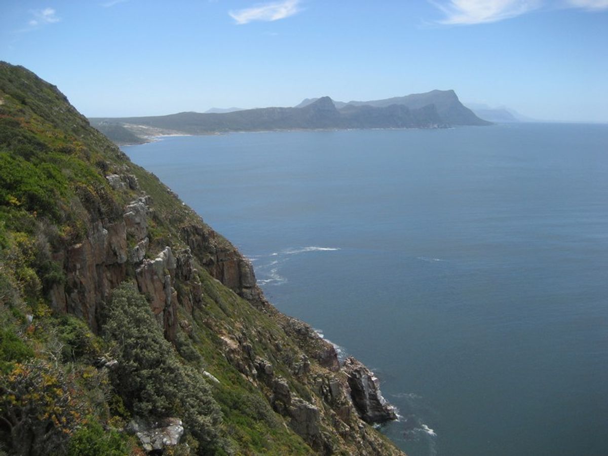 Cape Point Trip