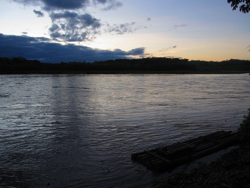 Madidi