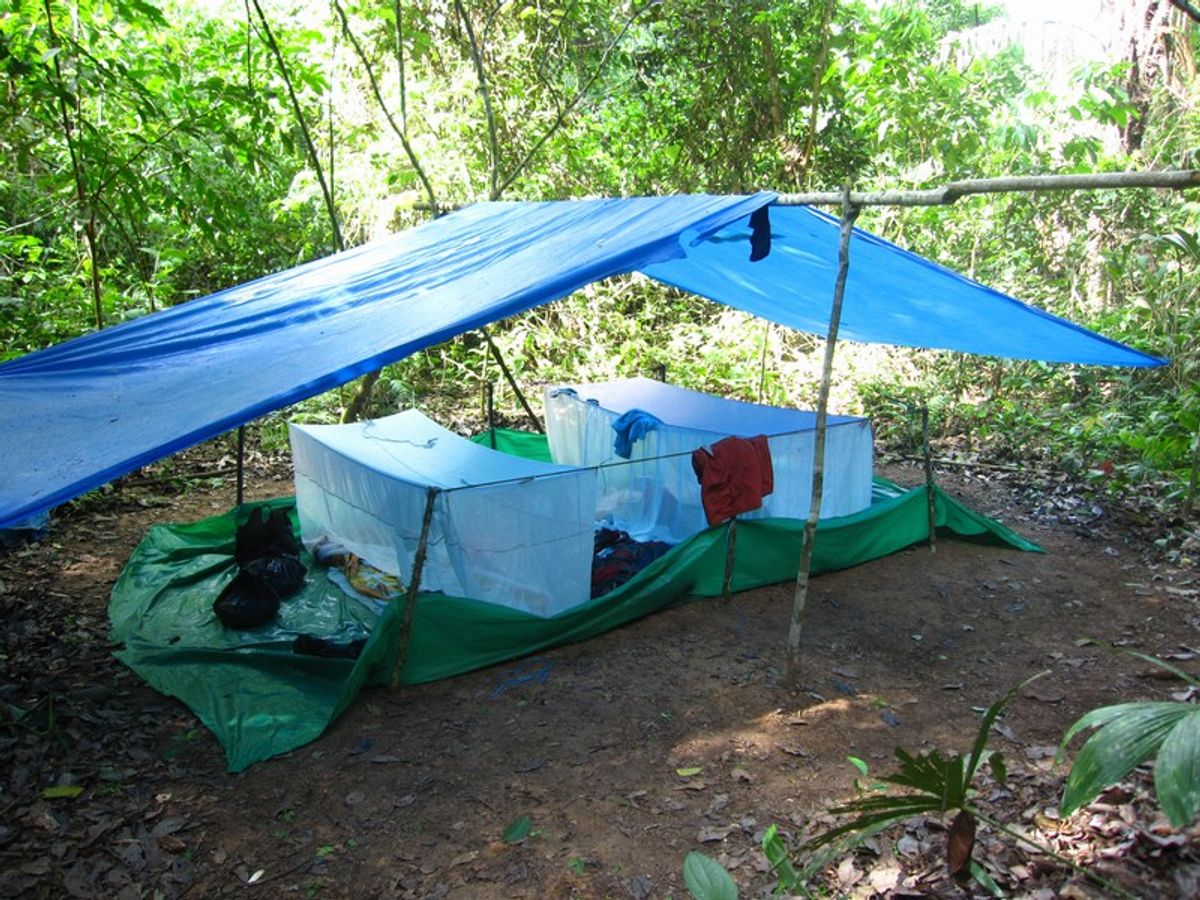 Madidi