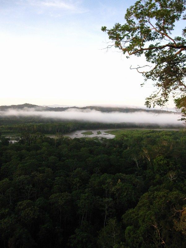 Madidi