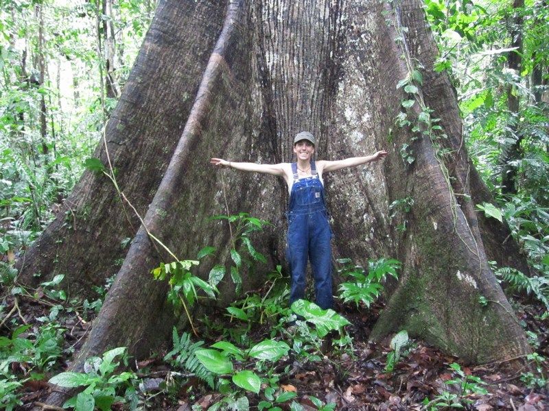 Madidi