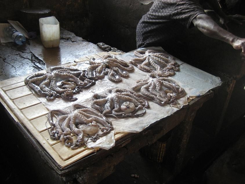 Calamari never looked so good.