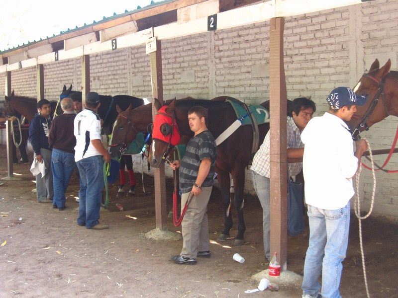 A Day at the Tracks