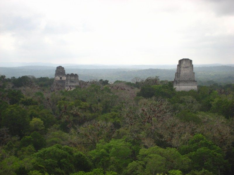 Tikal