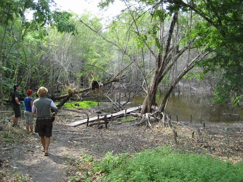 El Mirador