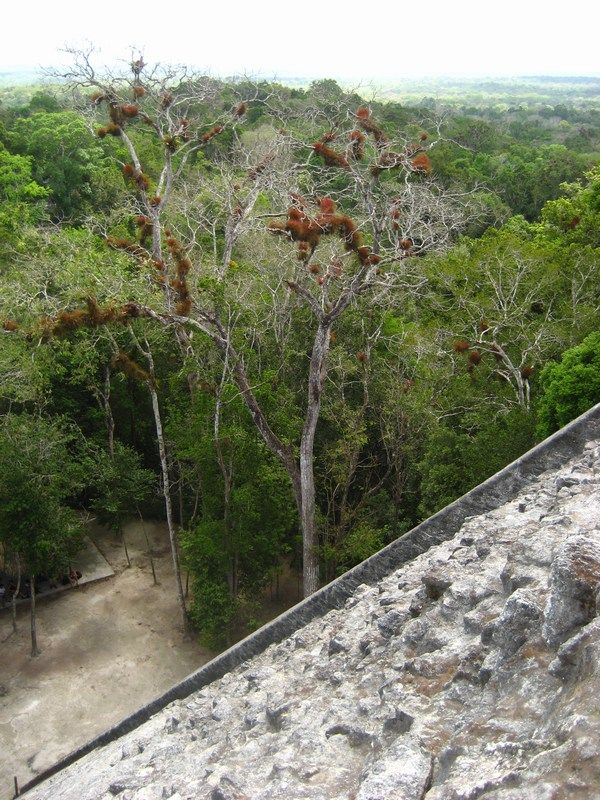 Tikal