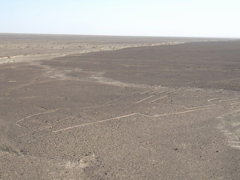 Nazca Lines
