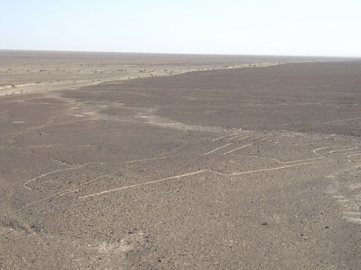 Nazca Lines