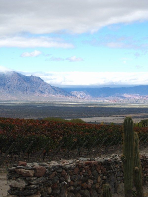 Cafayate