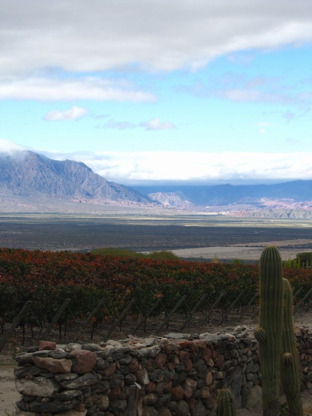 Cafayate
