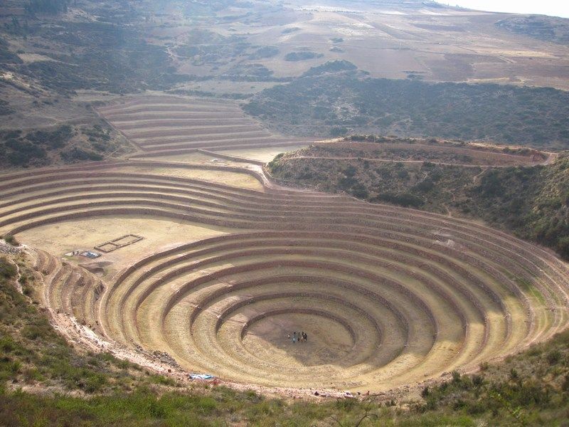 Moray